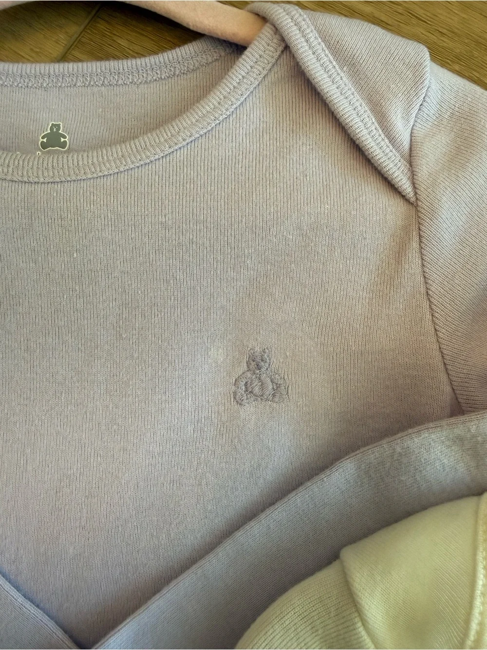 Baby GAP Long-Sleeve Bodysuits in Lavender and Cream
